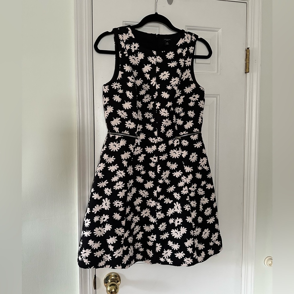 Ann Taylor Dress